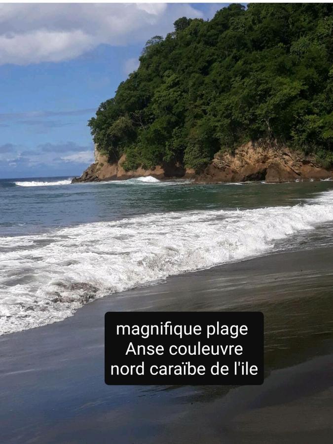 Appartamento A la montagne Le Morne-Vert Esterno foto