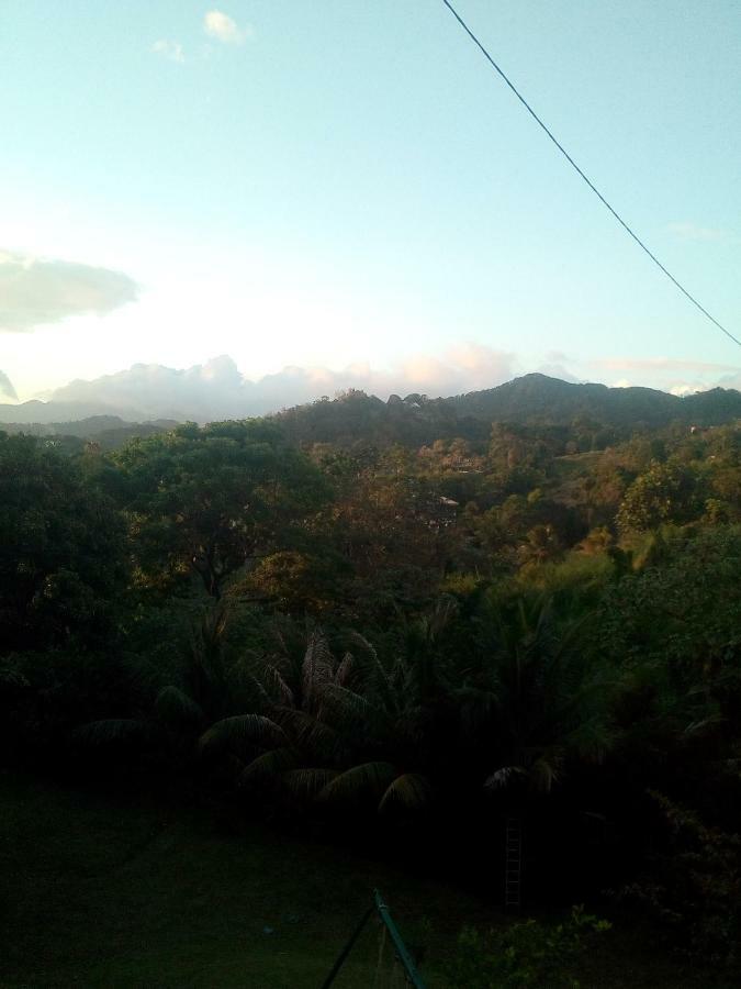 Appartamento A la montagne Le Morne-Vert Esterno foto